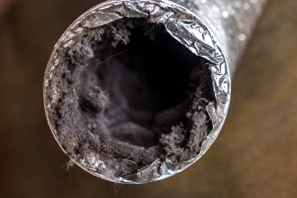 Best Air Duct Sanitizing Services  in Breckenridge, TX